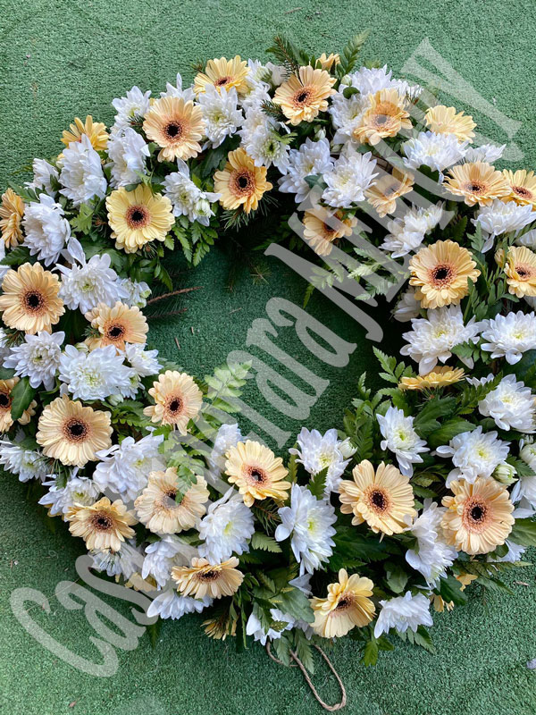 Miniatură imagine 3